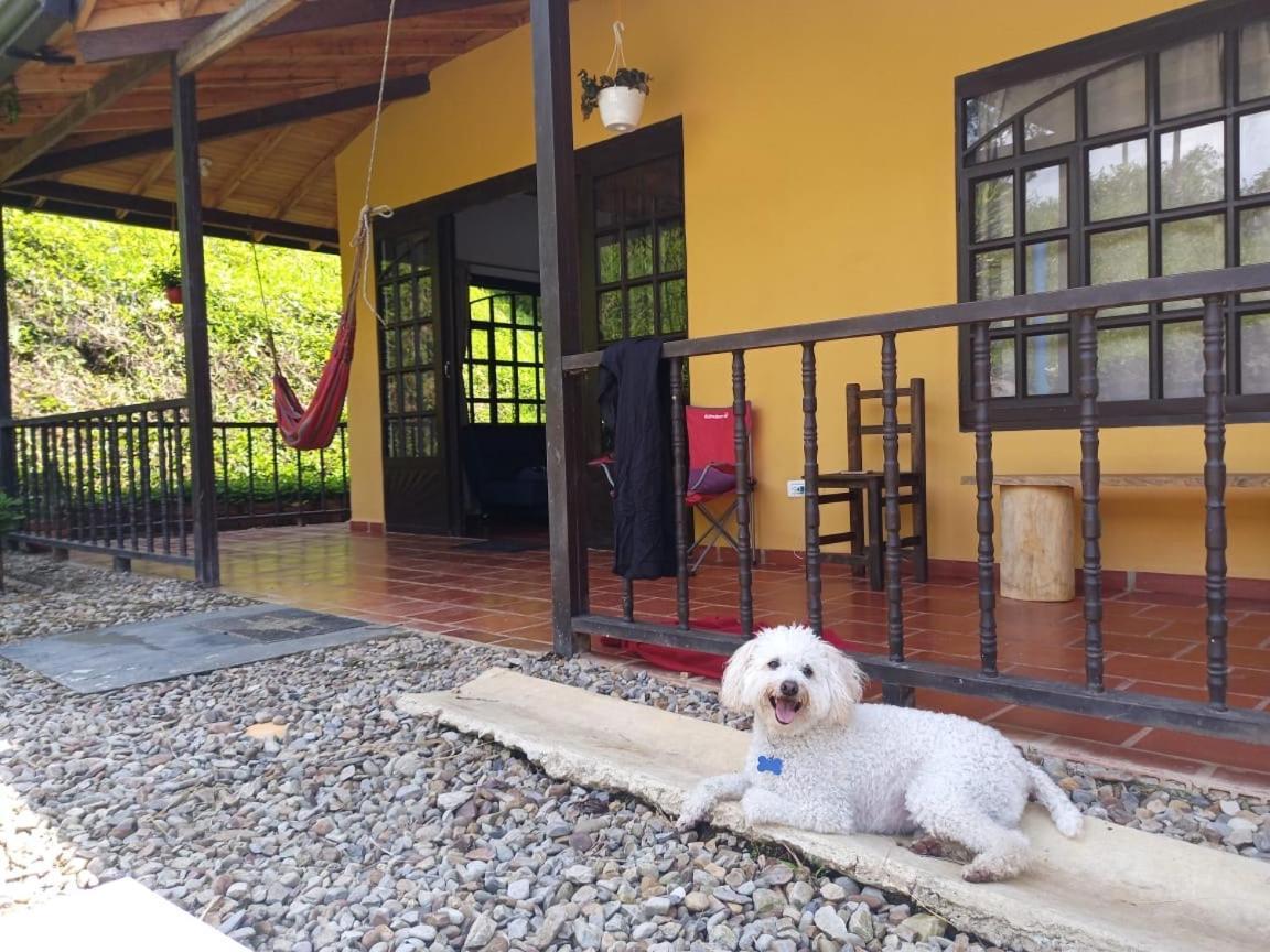 Ferienhaus - El Paraiso