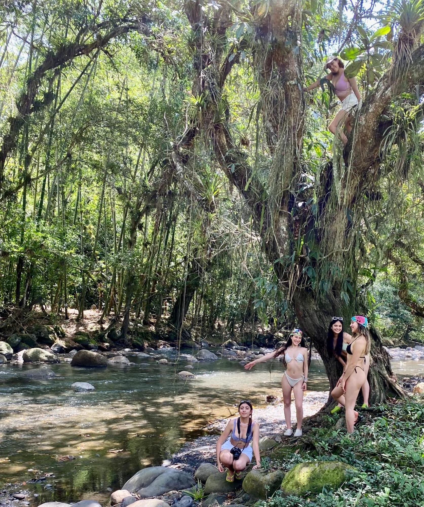 - El Paraiso La Vega (Cundinamarca)